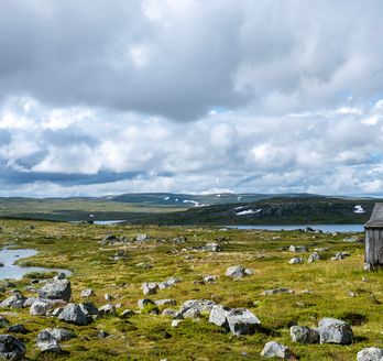 Blick über Hardangervidda. Raue Weidelandschaft mit vielen großen Felsen/Steinen und Blick auf das Meer.