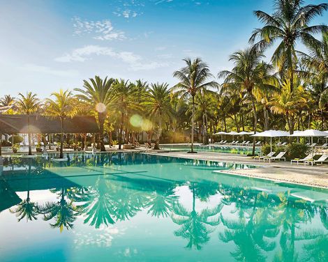 The Ravenala Attitude -4