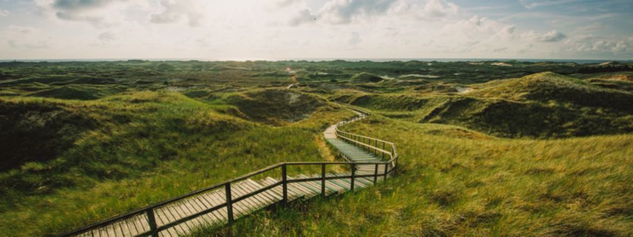 Amrum Boardwalk