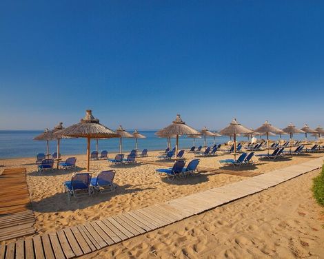 Blue Dolphin Hotel-4