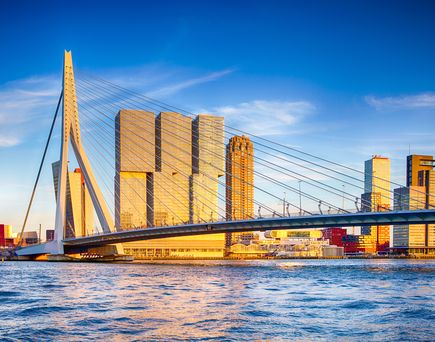 Hafen von Rotterdam mit der Erasmusbrücke