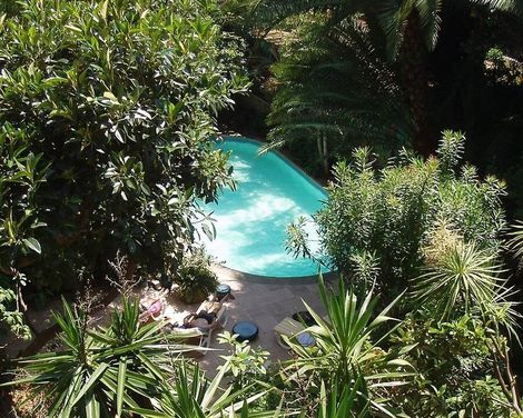 Le Windsor, Jungle Art Hotel-1