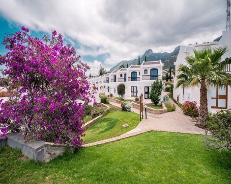 The Olive Tree Hotel-1