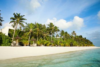 Hotel, Hotel Riu Palace Maldivas