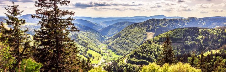 Eine bewaldete Berglandschaft mit einem Dorf im Tal und einer Burg auf einem Hügel.
