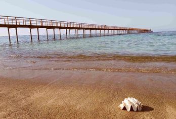 Hotel, Lazuli Hotel Marsa Alam