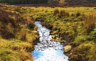 Ein Fluss, der sich durch eine grüne Landschaft schlängelt. Die Szene ist friedlich und natürlich.