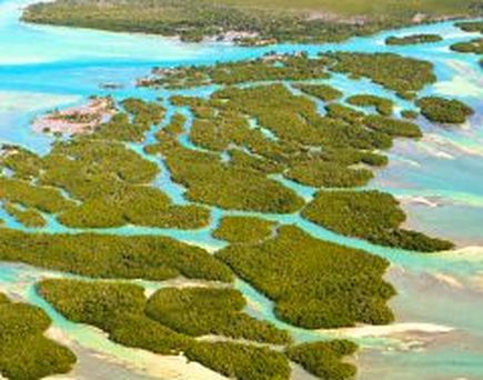 Florida Keys