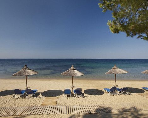 Blue Dolphin Hotel-0