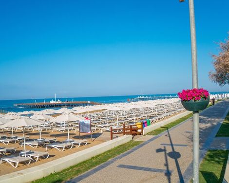 Arum Barut Collection-3