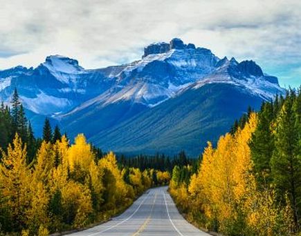 Kanadas Sehenswürdigkeiten Highway durch Wald