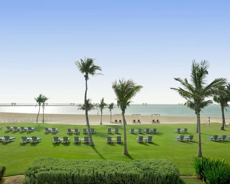 JA Palm Tree Court-0