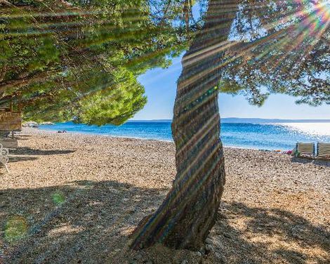 Bluesun Hotel Alga-1