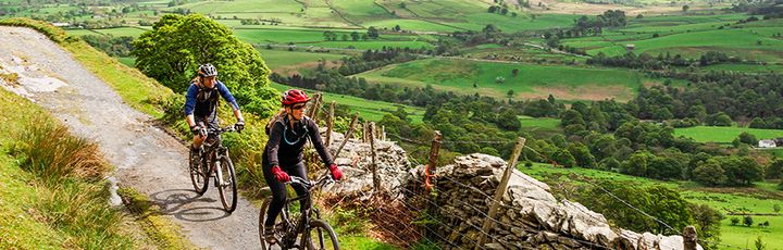Zwei Radfahrer fahren einen schönen Weg entlang