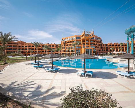 Calimera Blend Paradise-3