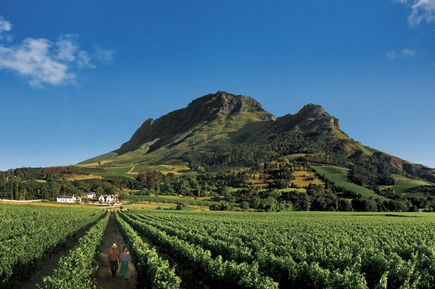 Winelands Südafrika