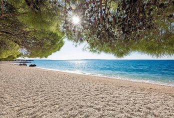 Hotel, Bluesun Hotel Alga