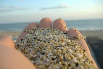 Hotel, Cleopatra Kris Mari