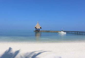 Canareef Resort Maldives