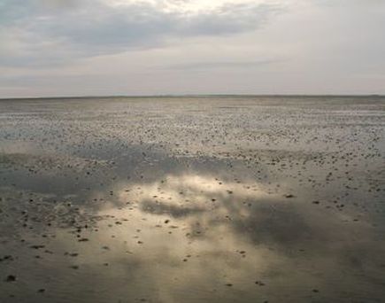 Wattenmeer
