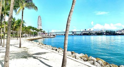 Atwell Suites Miami Brickell