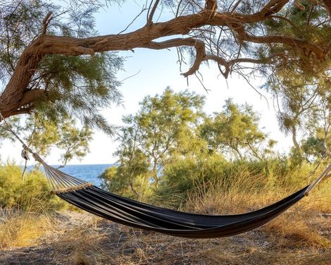 Scorpios Beach Santorini-2