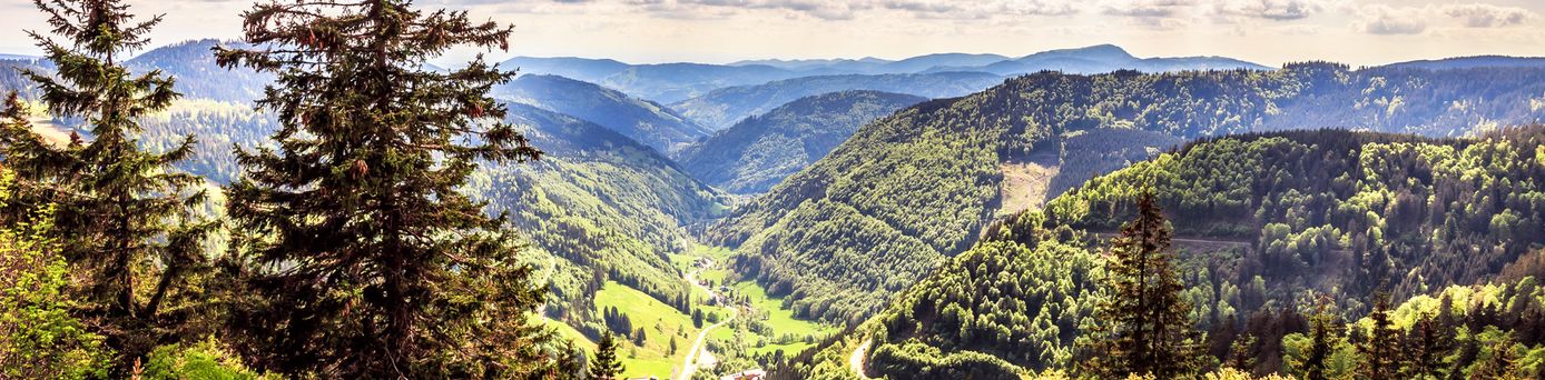 Mittelgebirge