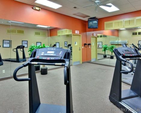 Holiday Inn Los Angeles - LAX Airport-4