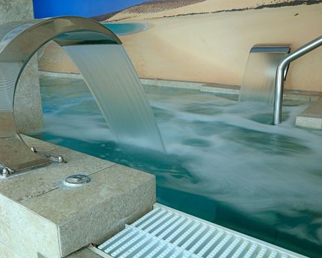 Fergus Cactus Garden-4