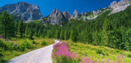 Wanderweg in den Alpengebirgen