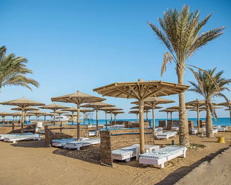 Palm Beach Resort-1