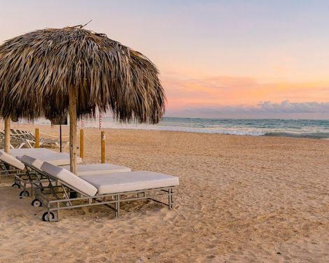 Tropical Deluxe Princess-4