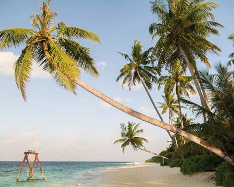 Reethi Faru Resort-0