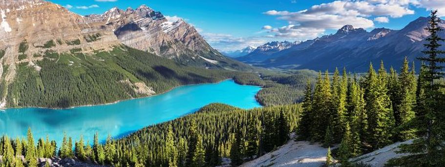 Kanadas Sehenswürdigkeiten Peyto Lake im Banff Nationalpark