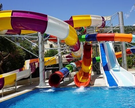 Kleopatra Royal Palm-3