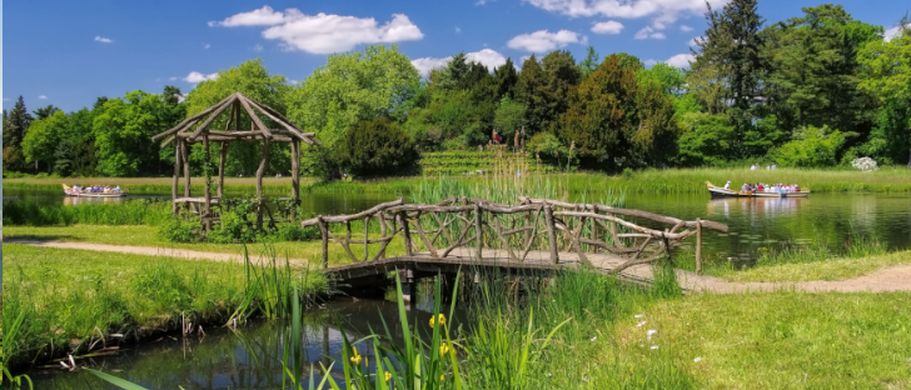 Landschaft Wörlitz
