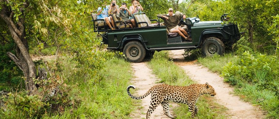 Glamping Afrika Reise Urlaub Leopard auf Straße und Touristen in einem Jeep