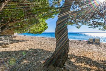 Hotel, Bluesun Hotel Alga