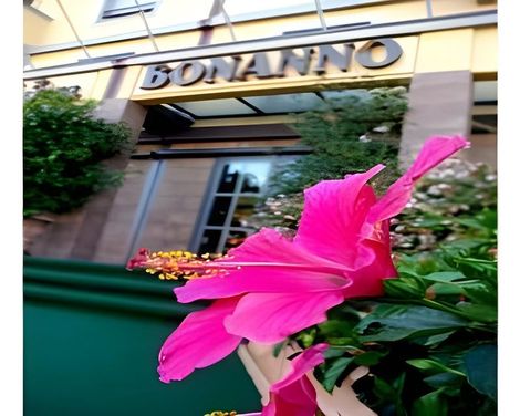 Grand Hotel Bonanno-0