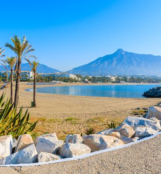 Blick auf den Palmenstrand in der Nähe von marbella