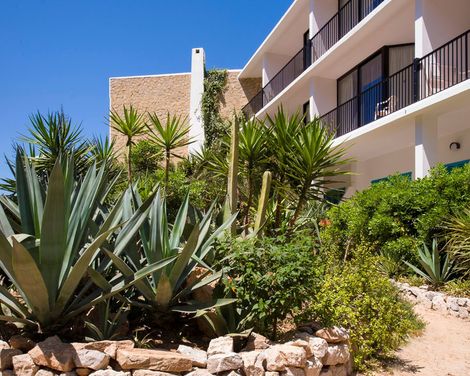 Osiris Ibiza-2
