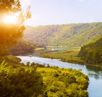 Ein Fluss, der sich durch eine grüne Landschaft schlängelt.