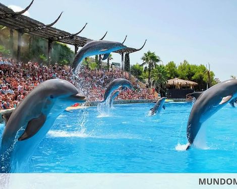 Hotel Benidorm East by Pierre & Vacances-0