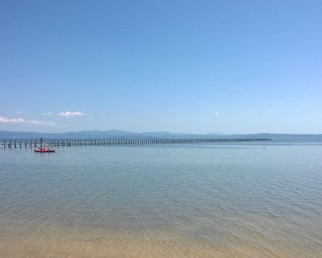 Residence Punta Spin-2