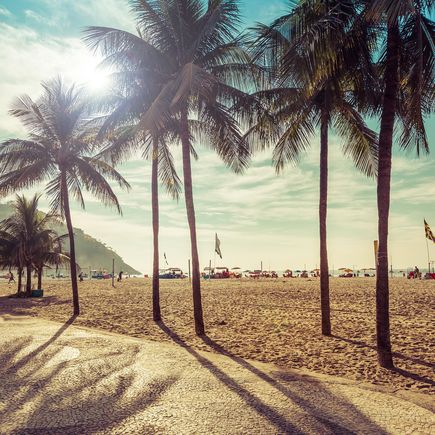 Der berühmte Copacabana Strand in Rio de Janeiro, Brasilien, mit seinem breiten Sandstrand, dem blauen Meer und einer Reihe von Palmen im Vordergrund, während sich dahinter die Stadt ausbreitet.