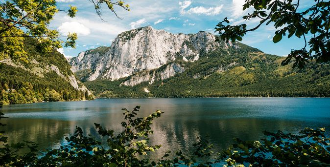 Blick auf den Altausee, vom Ufer mit Pflanzen und im Hintergrund die Berge vor blauem Himmel.