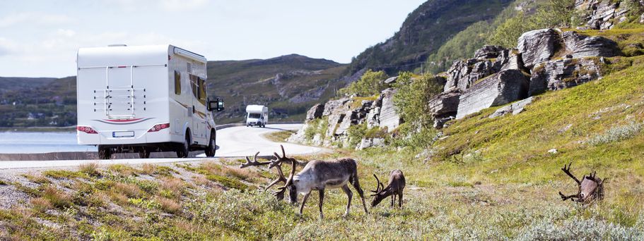 Norschweden Camper