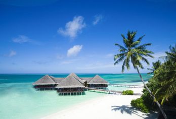 Hotel, Medhufushi Island Resort