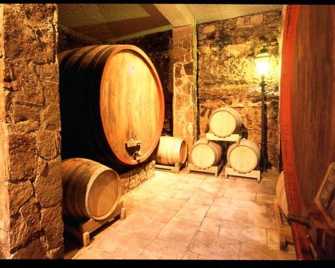 Tenute Al Bano Wine & Wellness Resort-2