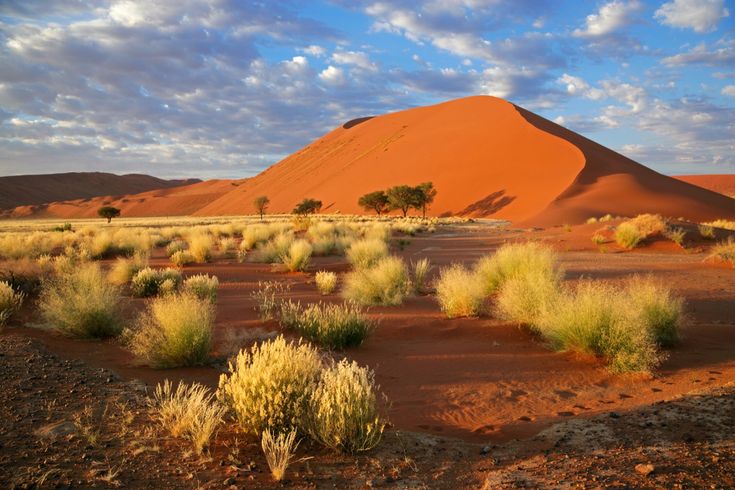 Die ikonischen roten Sanddünen von Sossusvlei in Namibia, die dramatisch unter einem weiten, klaren Himmel in der Wüste aufragen.